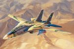 HOBBY BOSS 1/48 IRIAF Persian Cat F-14A Tomcat