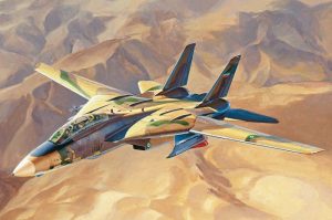 HOBBY BOSS 1/48 IRIAF Persian Cat F-14A Tomcat