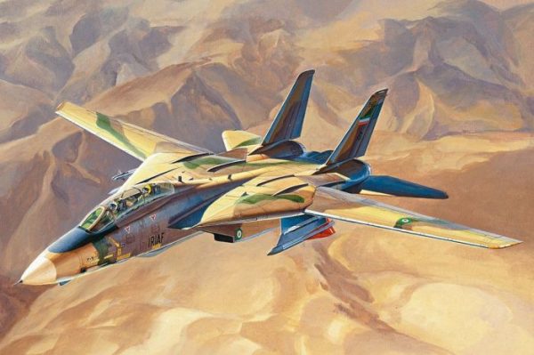 HOBBY BOSS 1/48 IRIAF Persian Cat F-14A Tomcat